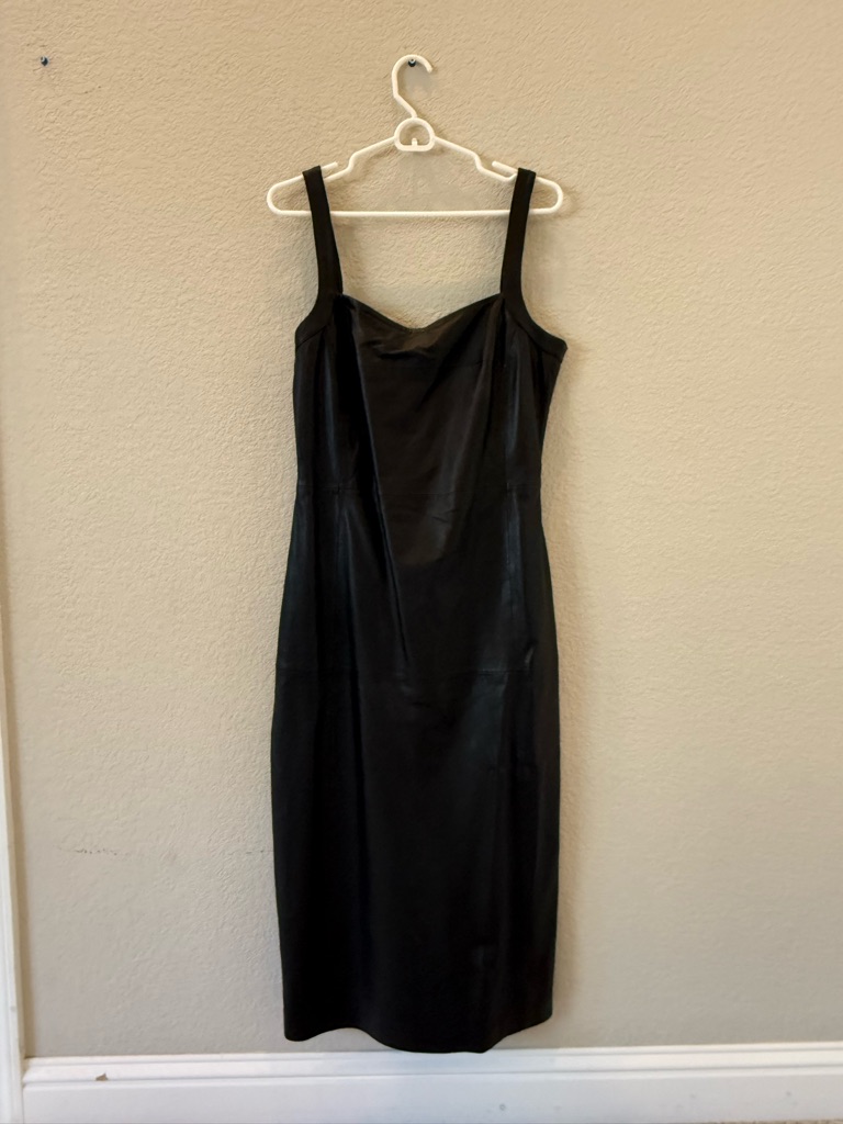 Sleek, Real Leather Sheath Dress
